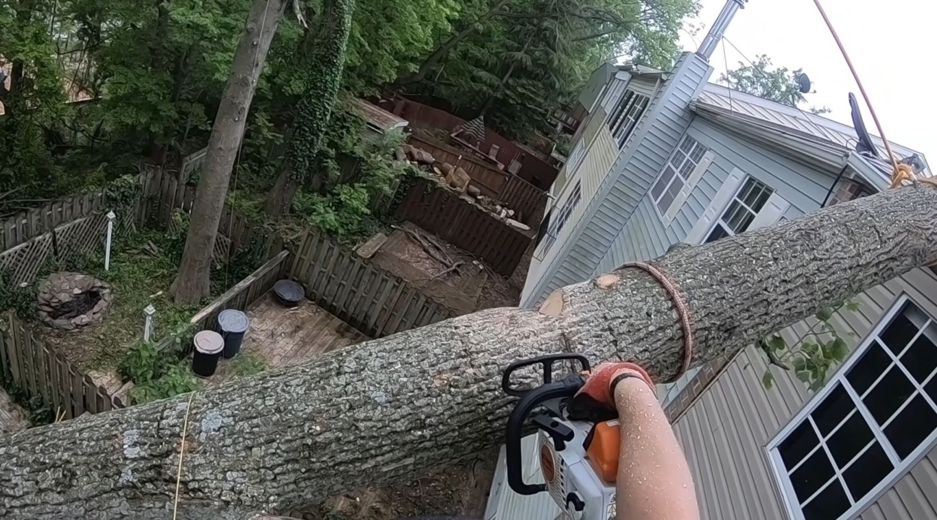 Tree Health & Maintenance service in Chino Hills, CA