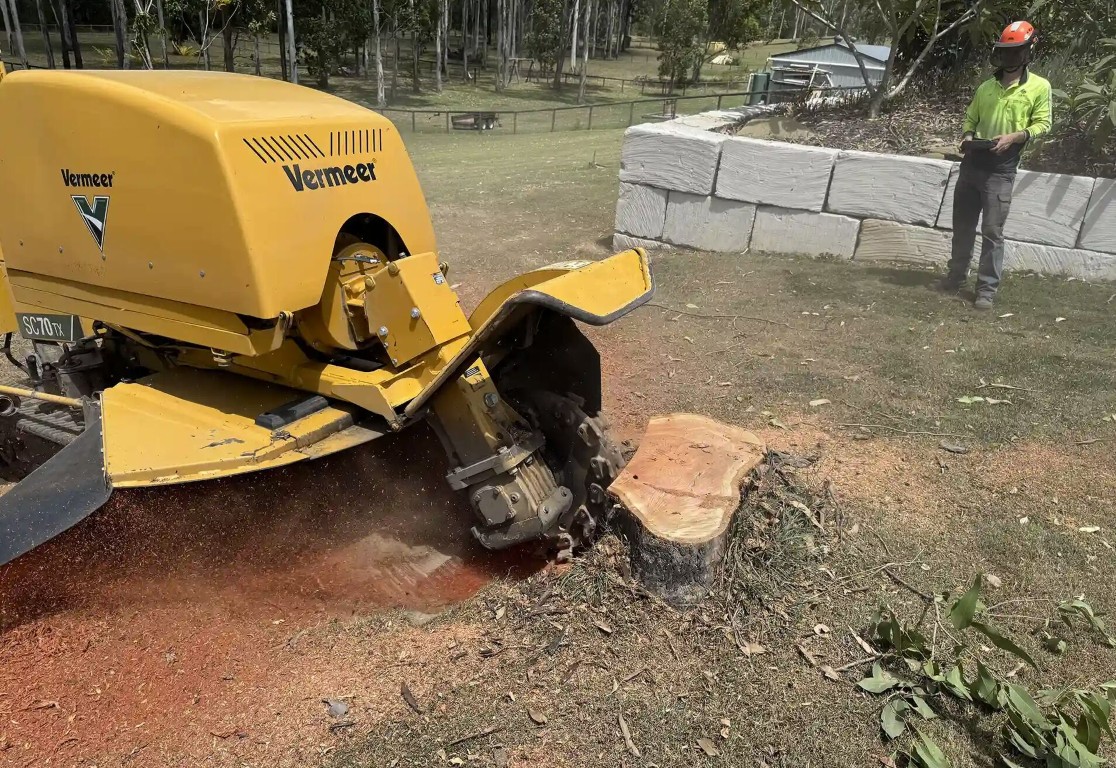Stump Grinding & Removal service in Chino Hills, CA